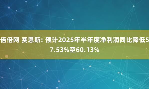 倍倍网 赛恩斯: 预计2025年半年度净利润同比降低57.53%至60.13%