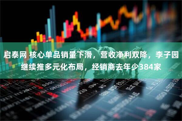 启泰网 核心单品销量下滑，营收净利双降，李子园继续推多元化布局，经销商去年少384家